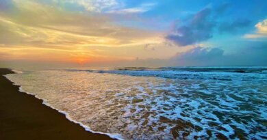 ପୁରୀ ବେଳାଭୂମିର ଗର୍ବର ମୁକୁଟ: ଲଗାତାର ସପ୍ତମ ଥର ପାଇଁ ବ୍ଲୁ ଫ୍ଲାଗ୍ ସମ୍ମାନ