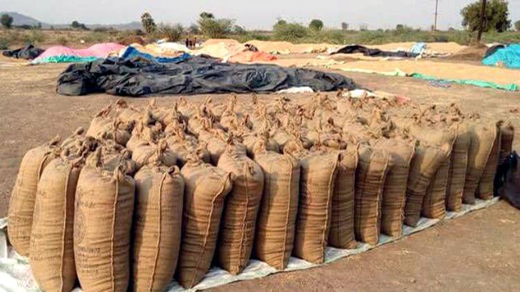 ଧାନର ଏମ୍‌ଏସ୍‌ପି ବୃଦ୍ଧି, କ୍ୱିଣ୍ଟାଲ ପିଛା ମିଳିବ ଅତିରିକ୍ତ ୬୯ ଟଙ୍କା